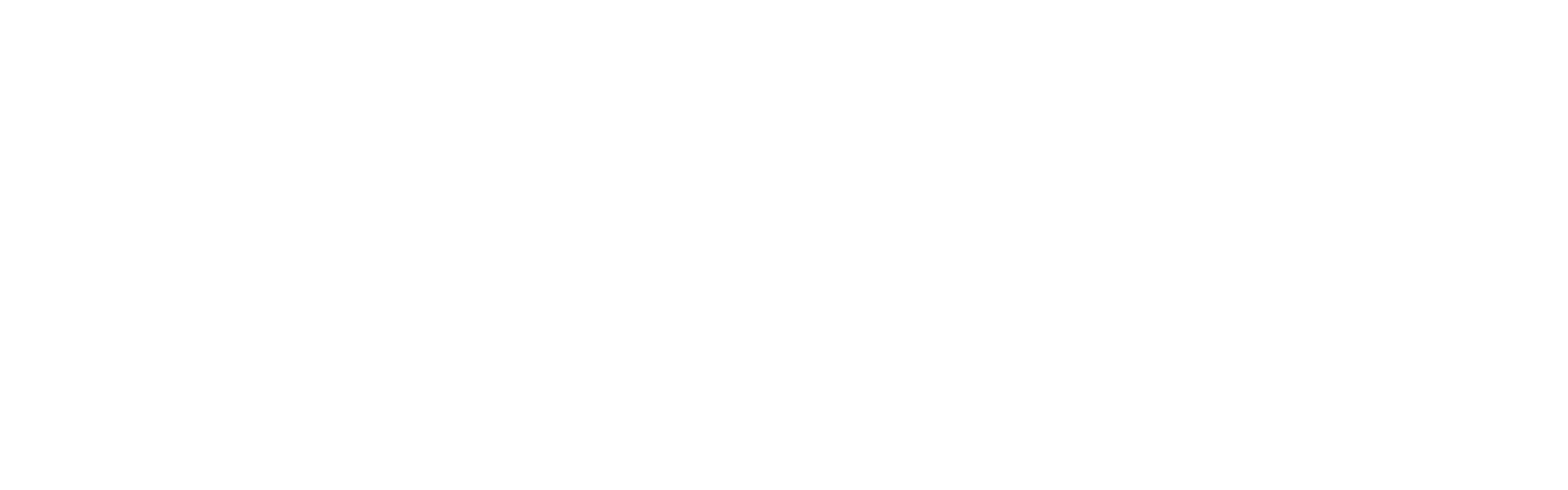 Expert OS logo